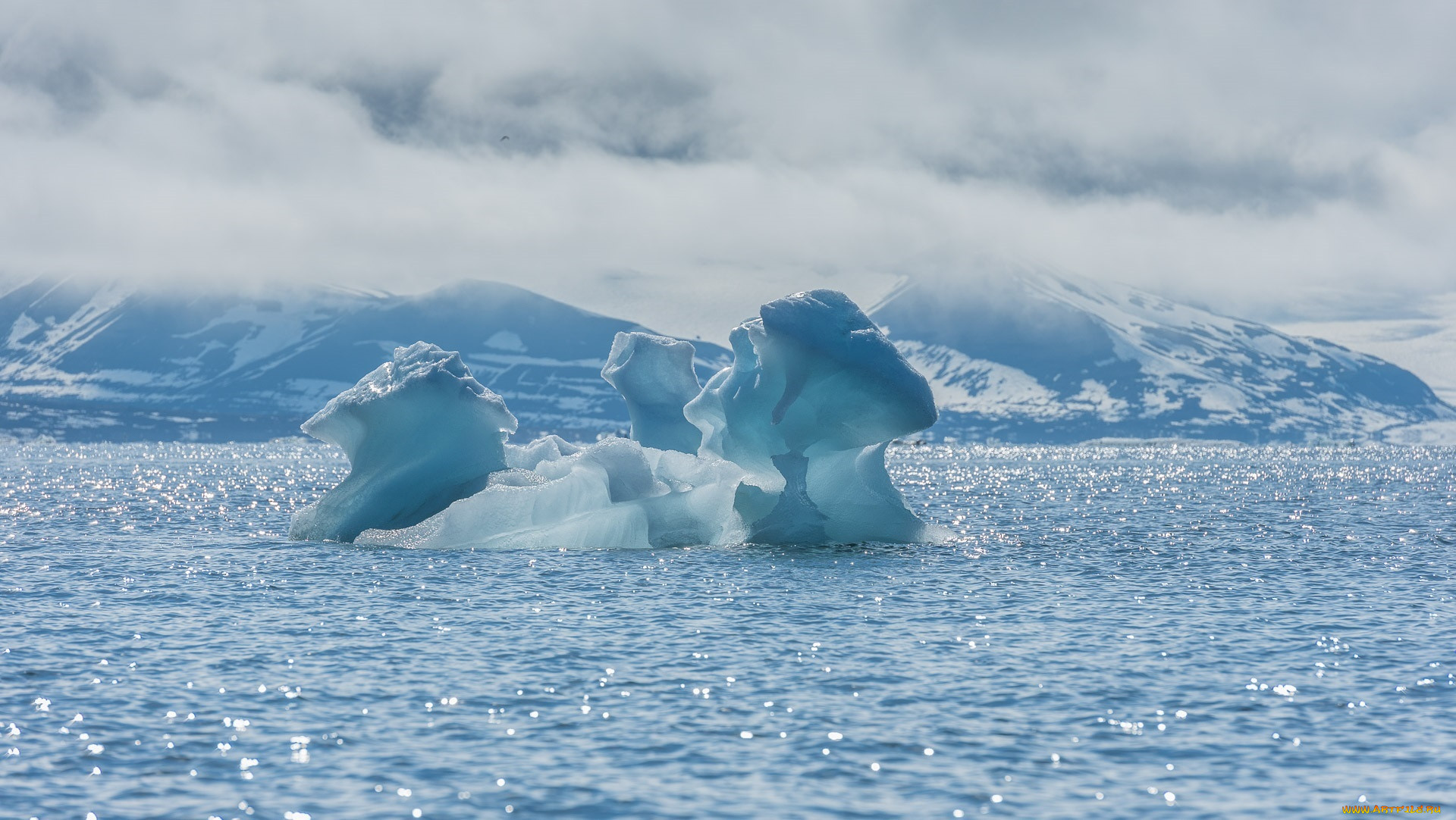 Океан покрытый льдом. Айсберг айс холод. Снежное море. Холод Арктики. Волны в Арктике.